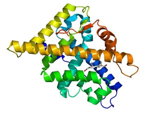 Erleada Clinical Therapy Overview: What to Understand Before Starting Therapy