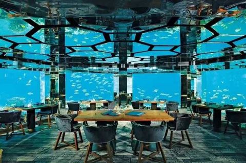Underwater Hotels Guide: Explore Basics, Facts, and Travel Insights