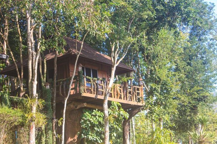 Treehouse Resort Rentals Guide: Explore Basics, Facts, and Practical Knowledge