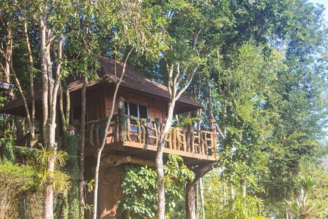 Treehouse Resort Rentals Guide: Explore Basics, Facts, and Practical Knowledge