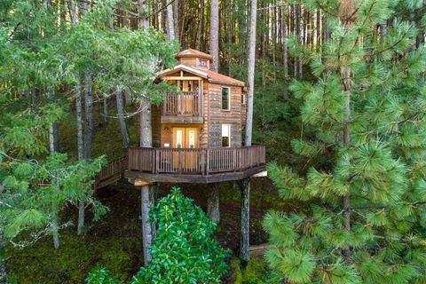 Eco Tourism Luxury Packages Overview: Learn Basics, Facts, and Expert Tips