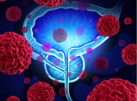 Erleada Treatment Insights: Discover Critical Details That Shouldn’t Be Missed