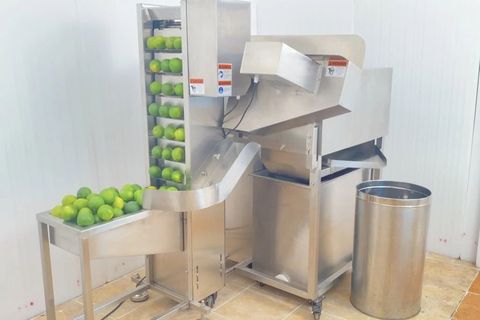 Industrial Juice Extractor Machines: Types, Process & Applications